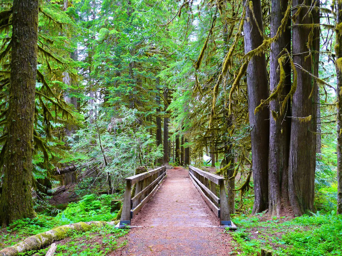 Search Guide: Accessible nature trails in Aveiro