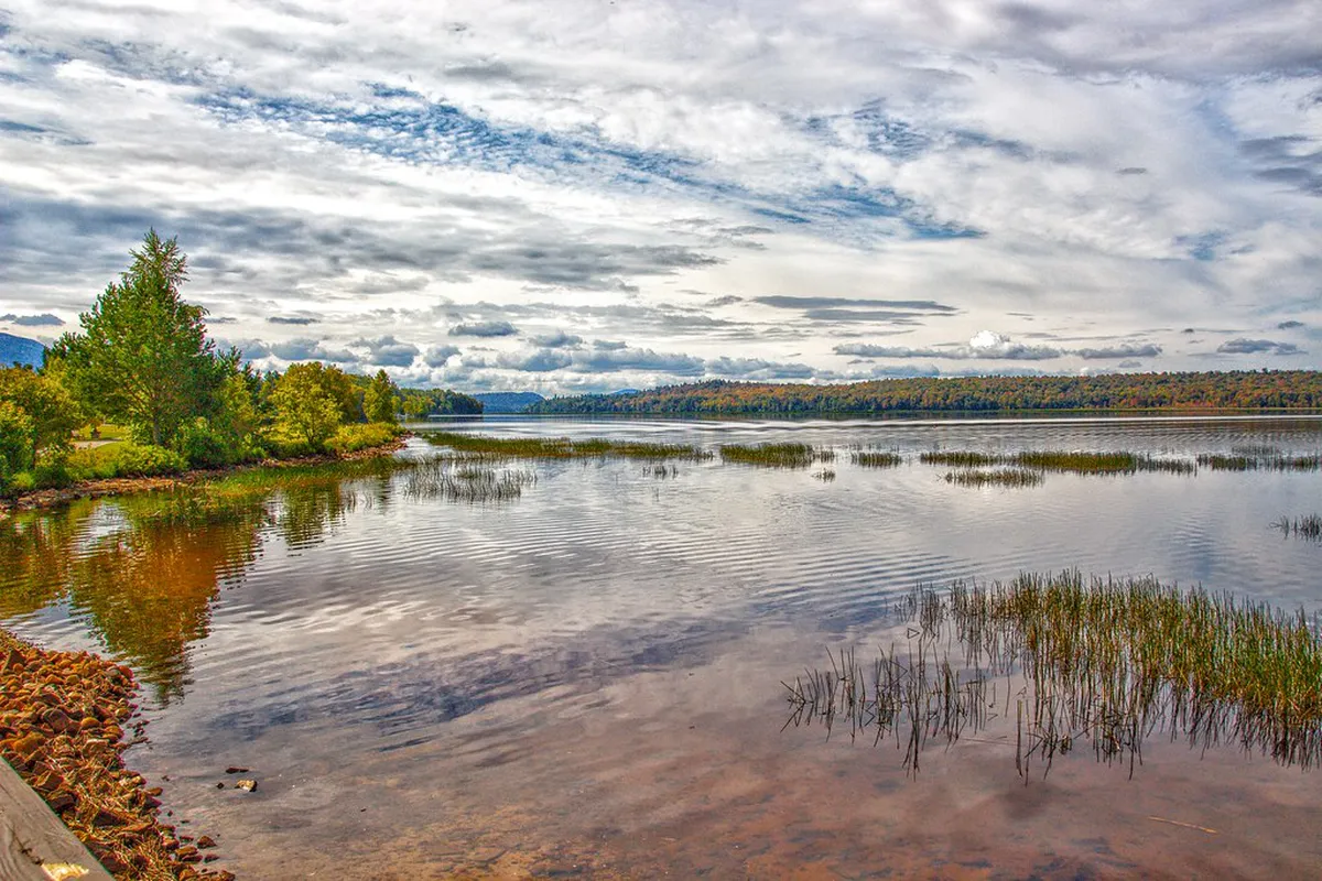 9 Family Friendly Nature Parks in Aveiro You Must Visit