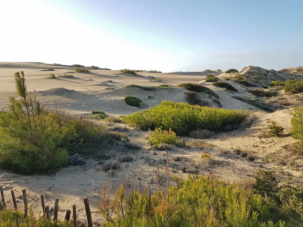 How to Visit Cresmina Dunes Cascais (2026 Guide)