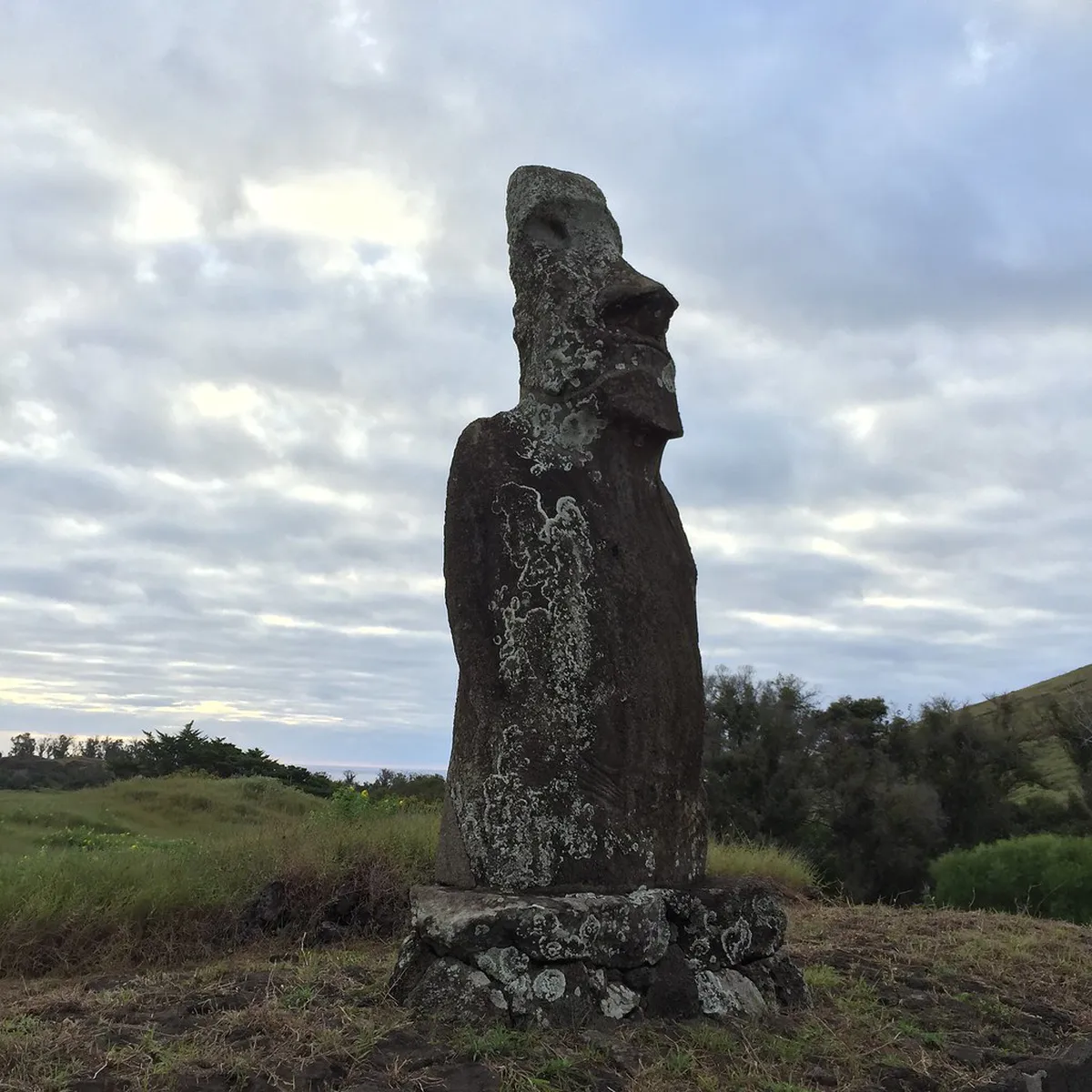 How to Visit Mata do Choupal: A Complete Guide