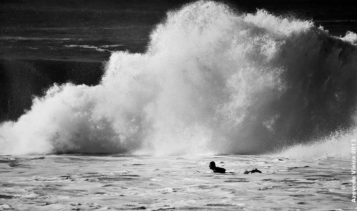 Essential Ericeira Surfing Reserve Nature Facts Guide