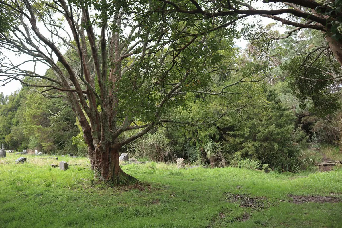 How to Reach the Ludo Trail: A 1-Day Nature Guide