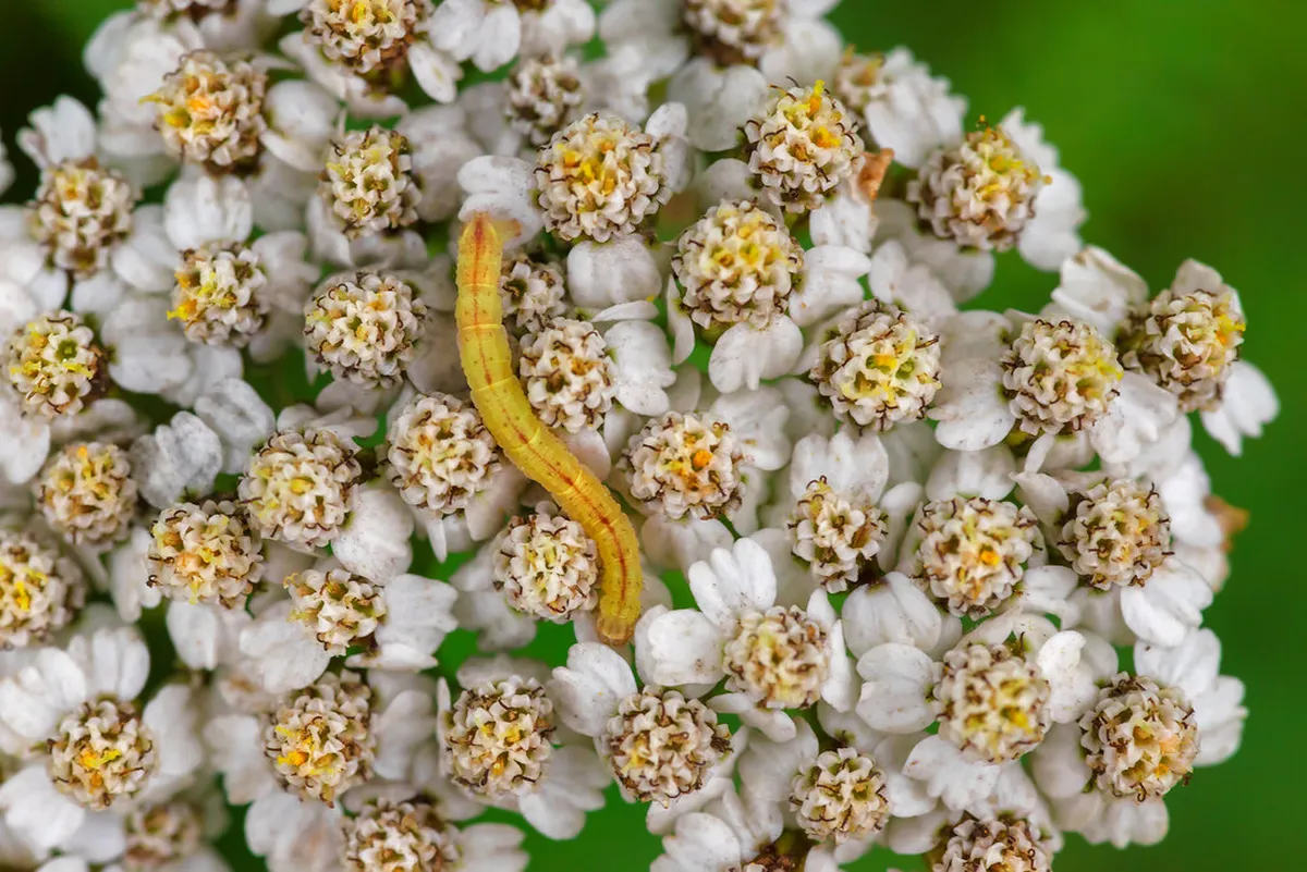 10 Scenic Nature Photography Spots in Faro: Portugal Guide