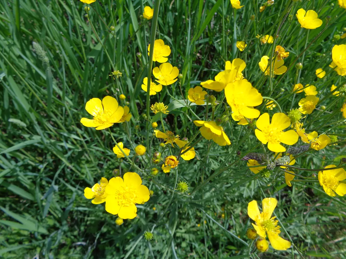 1-Day Nature-focused Walking Route in Regua: Douro Trails