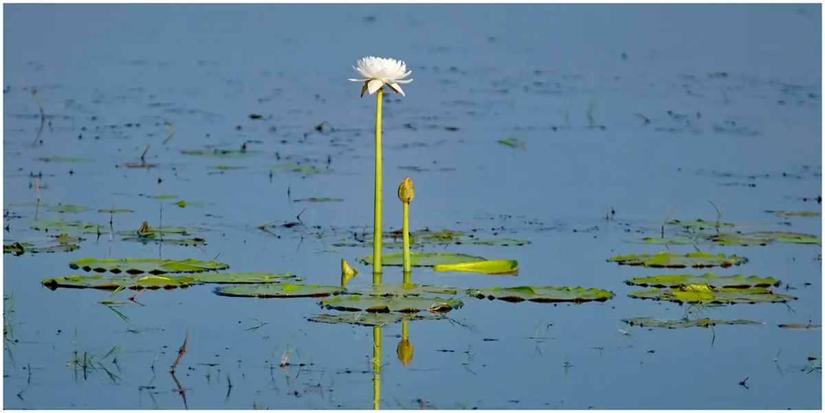 Scenic Picnic Areas in the Pinhão Vineyards