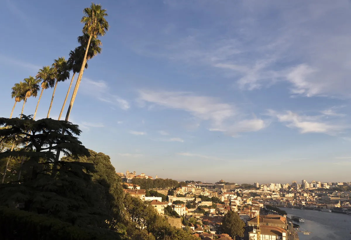 10 Best Things at Jardins do Palácio de Cristal