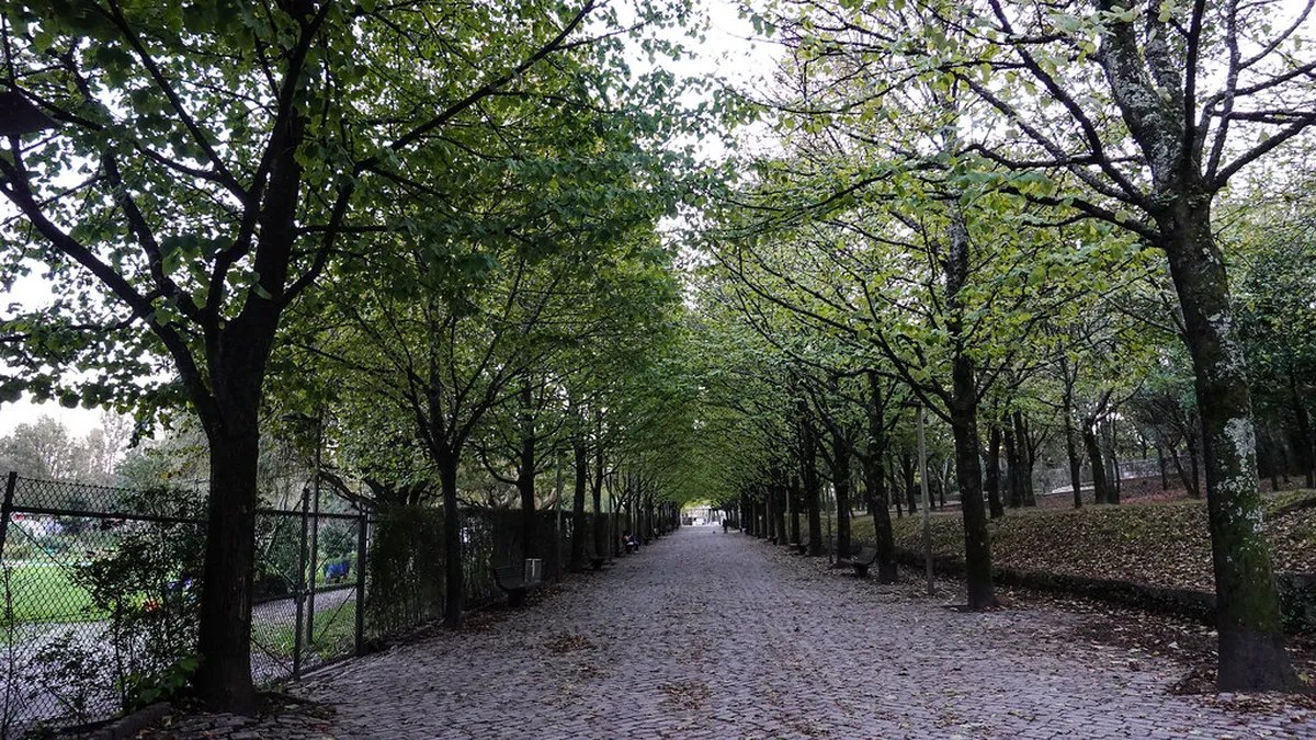 Quinta do Covelo Budget Family Day: Porto Guide