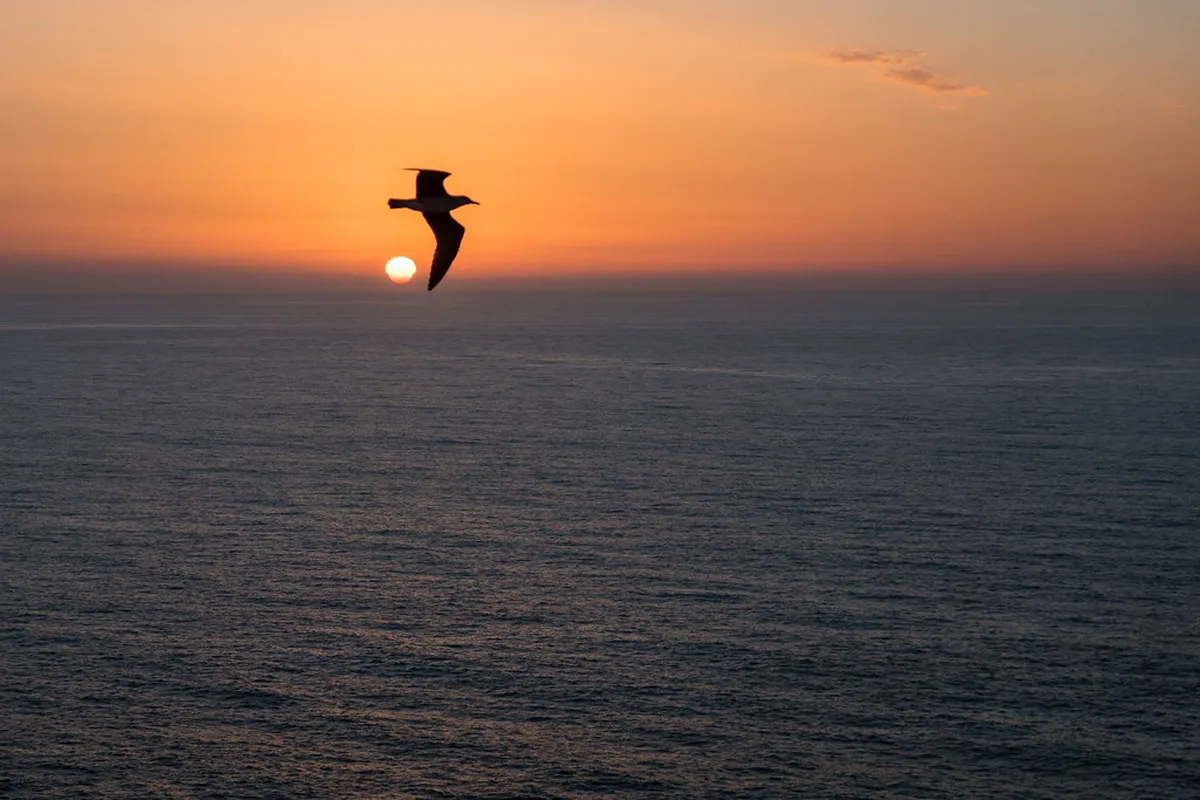 Cape Saint Vincent Sunset Guide: Best Times to Visit