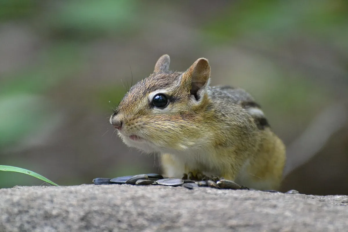 How to Visit Arade Dam: The Ultimate Travel Guide