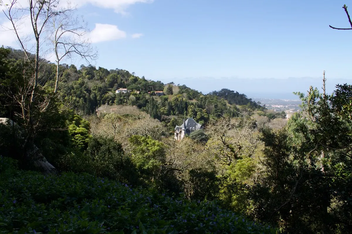 Sintra Forest Parking and Entry Fees Guide (2026)