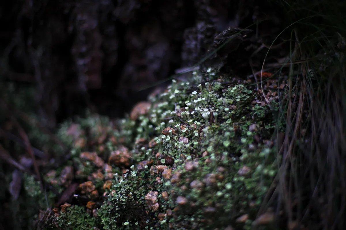 Sintra Nature Hiking Gear Checklist: Your 2026 Guide