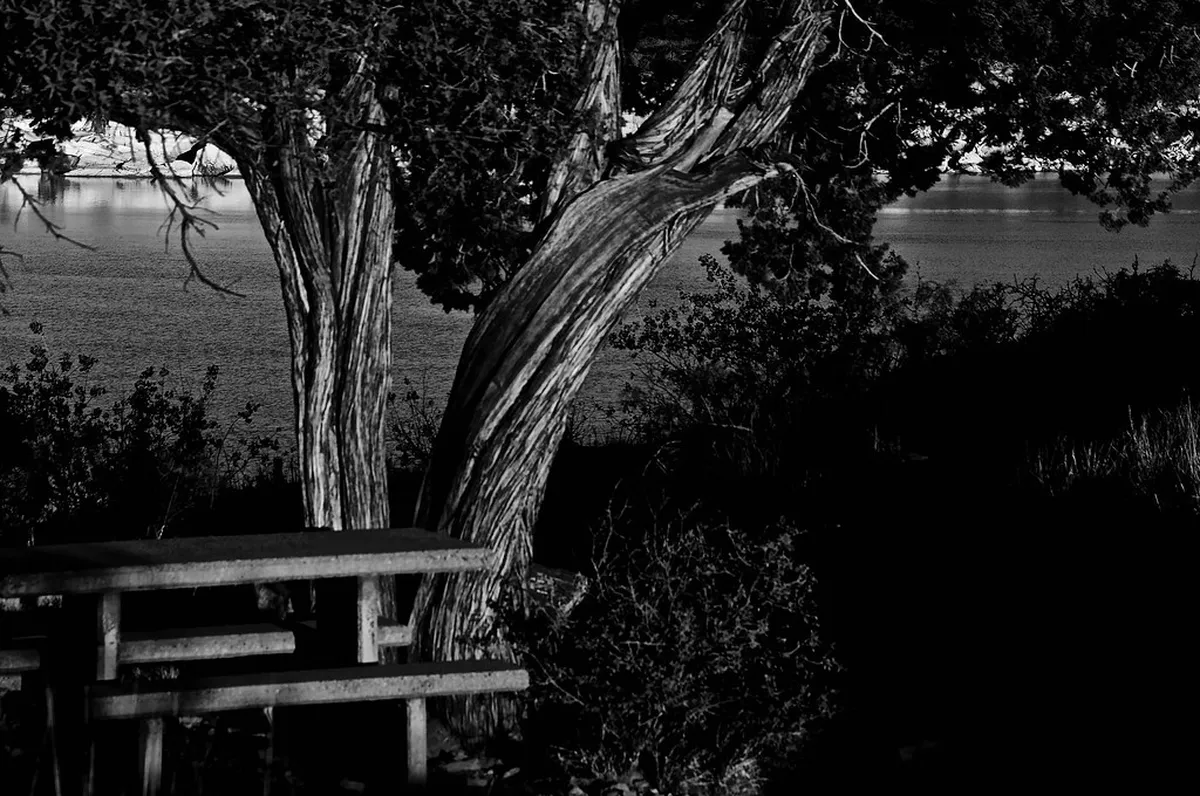 10 Best Picnic Spots in Viana do Castelo (Portugal)